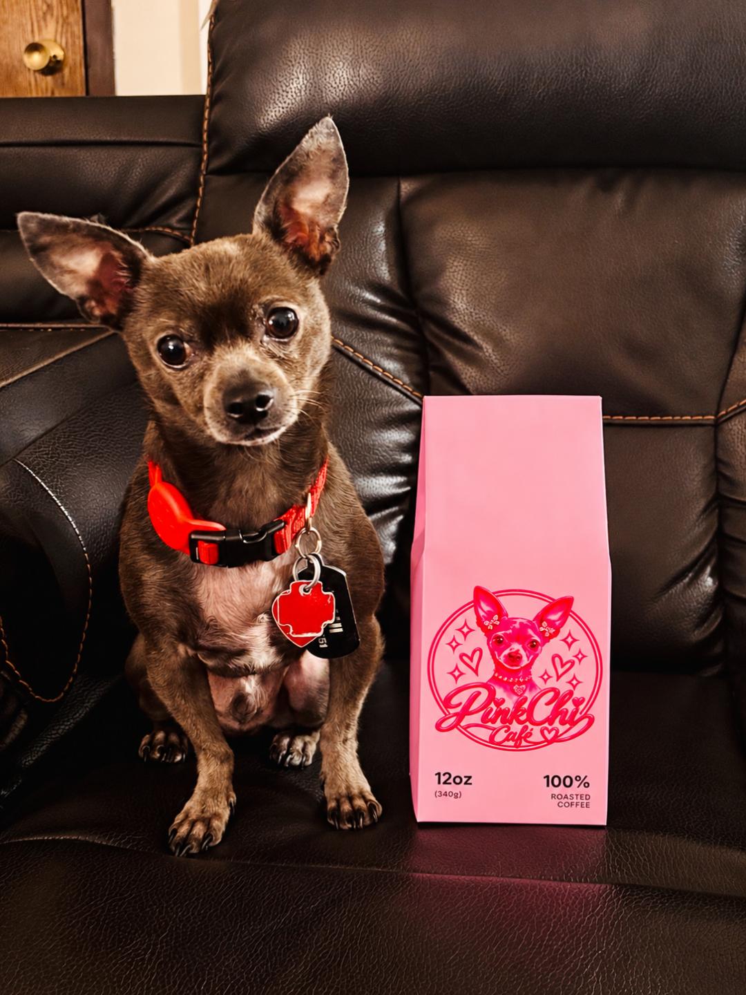 A real Chihuahua sitting next to a bag of Pink Chi House Blend coffee